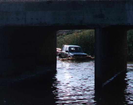 Just taking a dive.